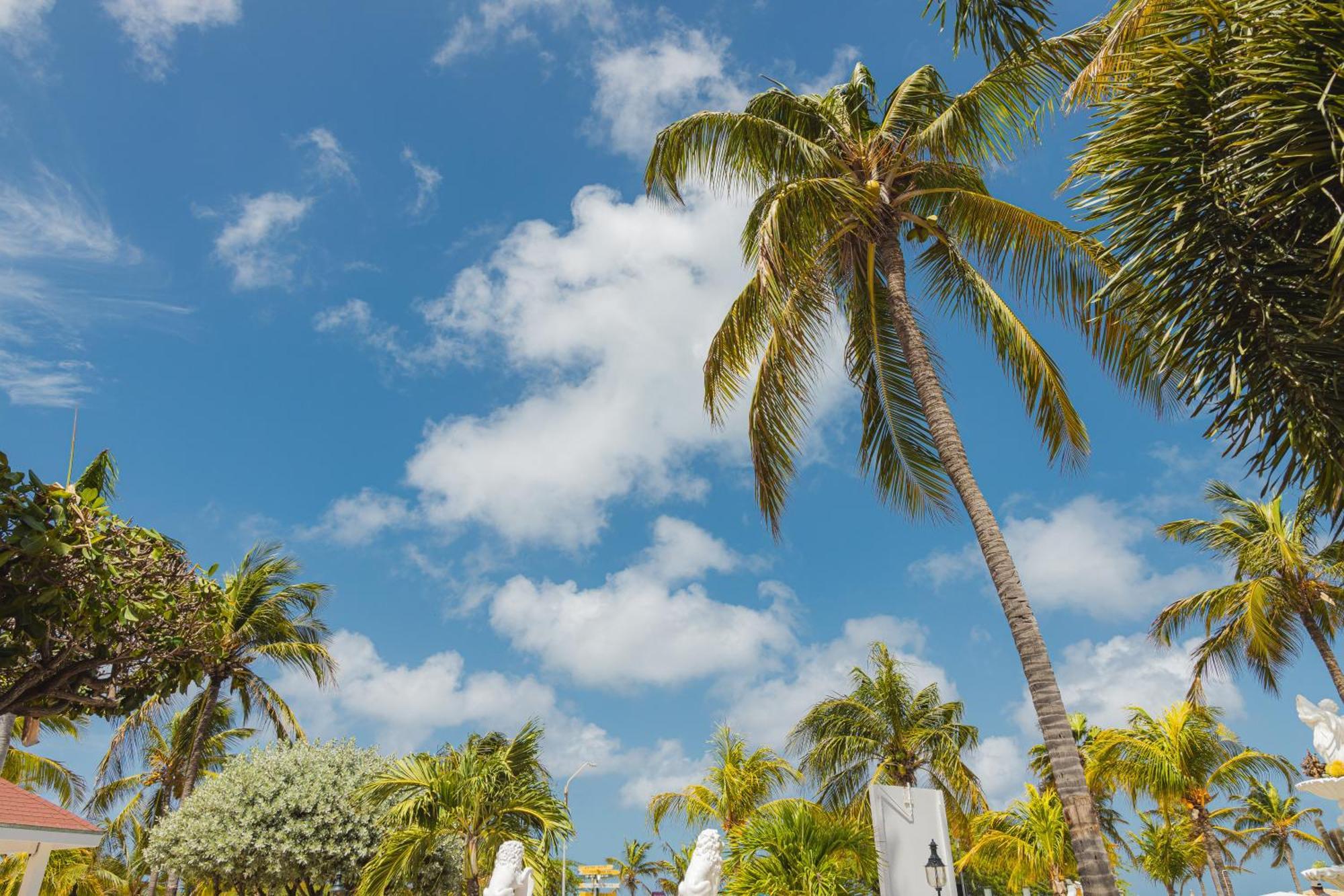 Amsterdam Manor Beach Resort Palm Beach Dış mekan fotoğraf